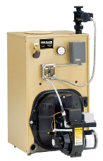 WGO Model